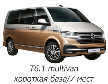 EVA автоковрики для Volkswagen T6.1 Multivan 2019-2024 (короткая база) — t6-1-kor-baza-7m